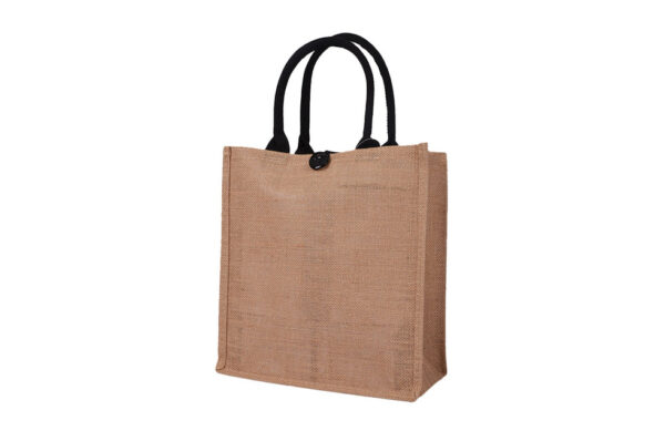 Temecula Abaca Tote with Rope Handle