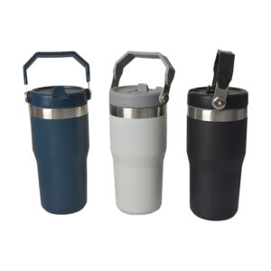Santa Ana Stainless Steel Vacuum Insulated Tumbler with Straw Lid and Plastic Handle | 650ml