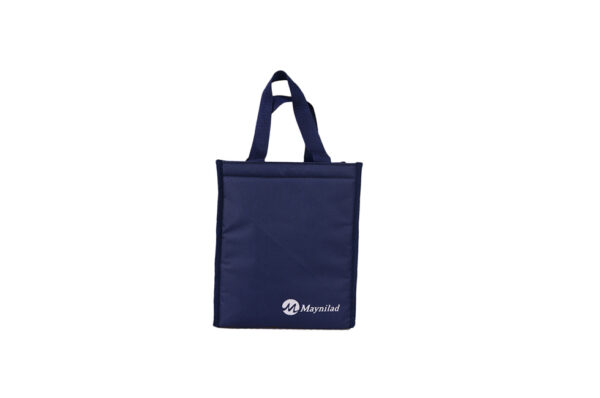 Elizario Insulated Lunch Tote with Side Mesh Pockets in Polywash Material