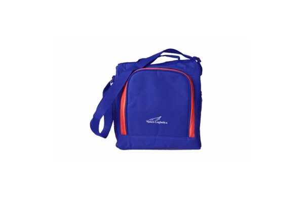 Ingram Lunch Bag with insulated Lining in Polywash Material | with Adjustable Shoulder Strap