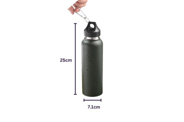 Avery Double Wall Vacuum Insulated Bottle in Stainless Steel Material | 500ml | Screw-On Lid