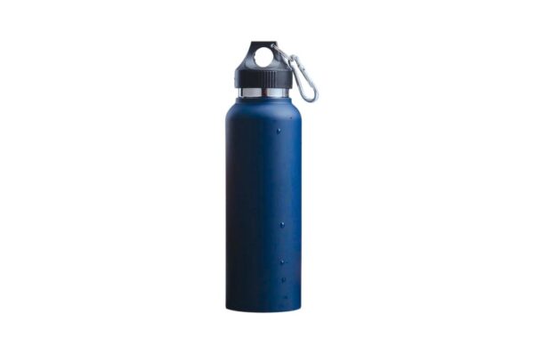 Avery Double Wall Vacuum Insulated Bottle in Stainless Steel Material | 500ml | Screw-On Lid