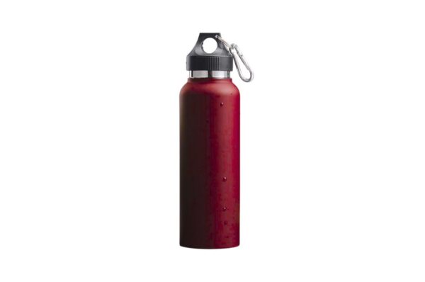 Avery Double Wall Vacuum Insulated Bottle in Stainless Steel Material | 500ml | Screw-On Lid