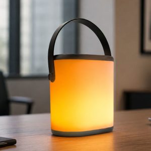 Aurora Speaker with LED Mood Light